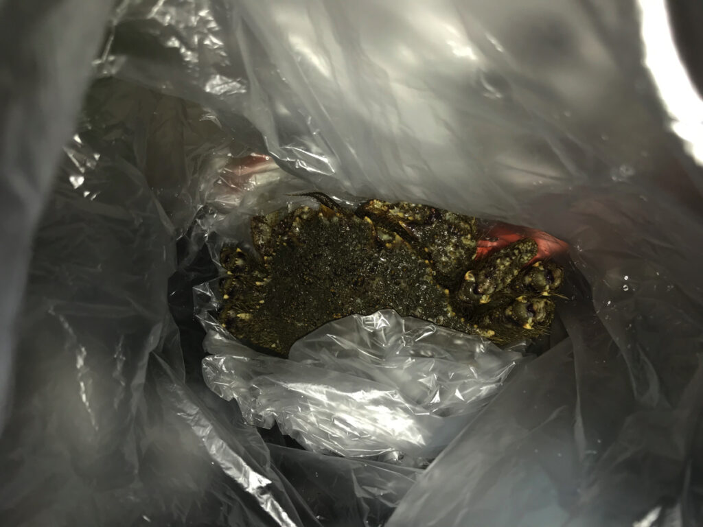 船だまりクリガニ