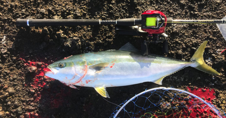 弁慶岬ブリアイキャッチ用