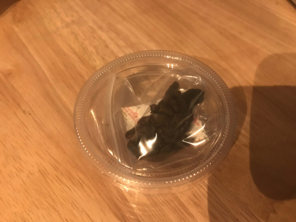 食用タランチュラ開封しました