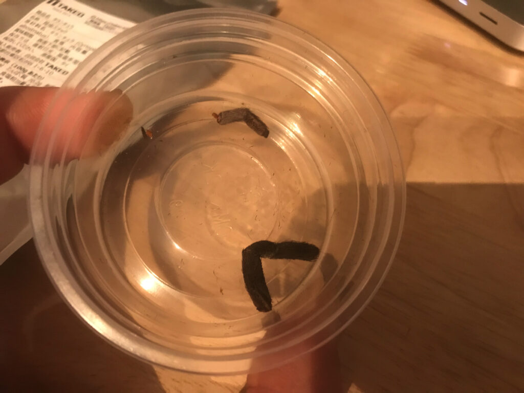 千切れた脚が残ってしまいました